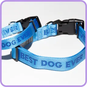 Best Dog Ever (Blue) Dog Collar