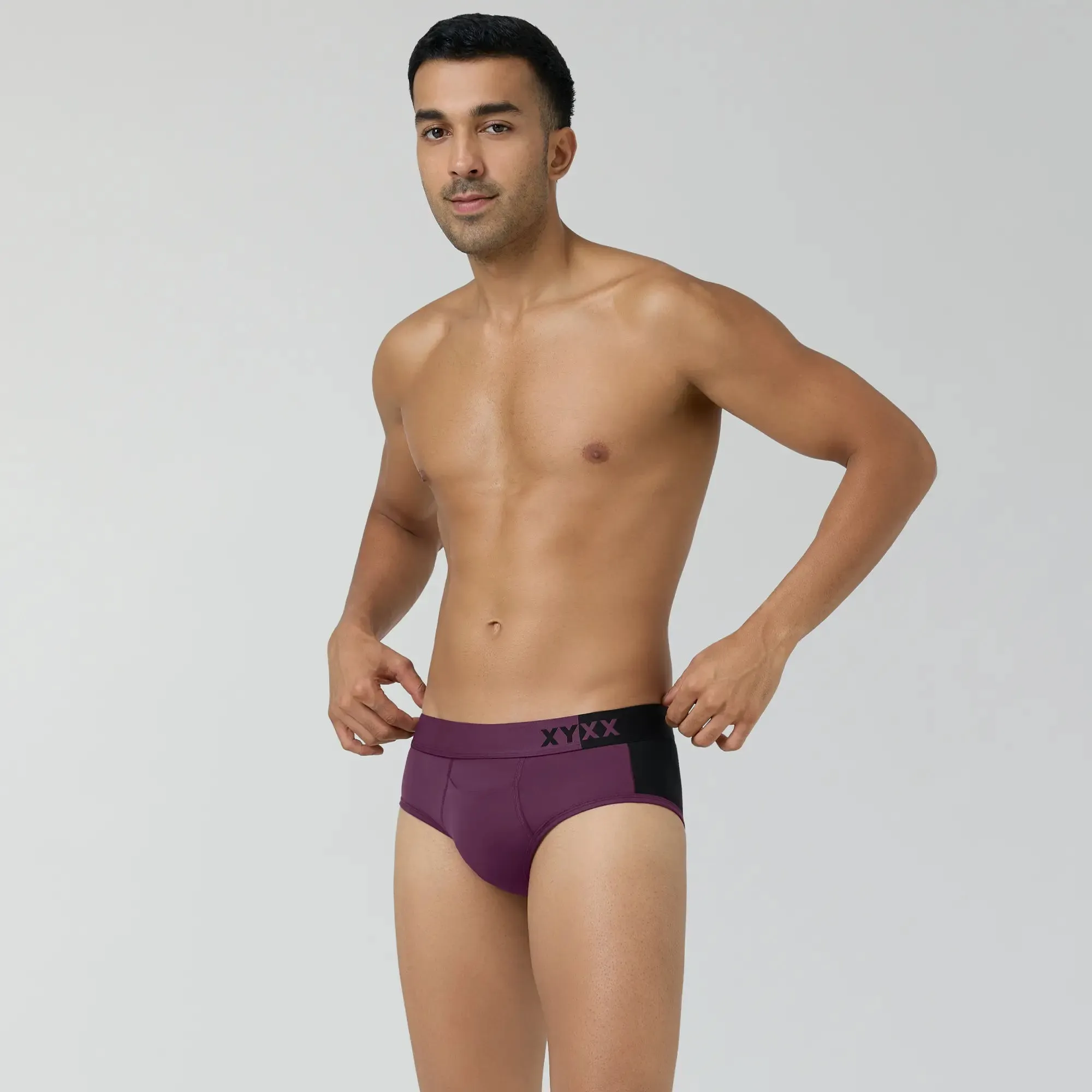 Dualist Modal Briefs Purple Plum