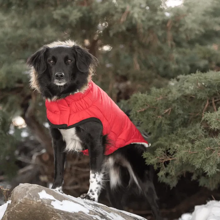 GF Pet Urban Parka Red For Dogs