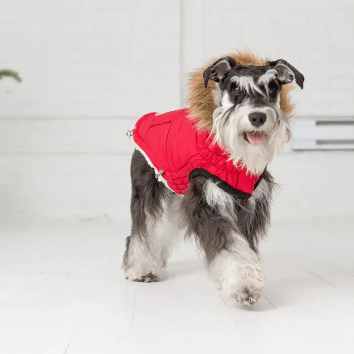 GF Pet Urban Parka Red For Dogs