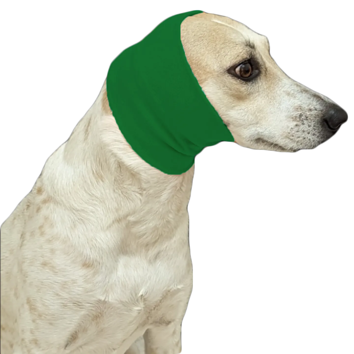 Green Ear Muff For Cats & Dogs