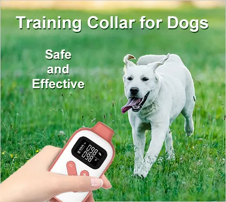 PD 523 Remote Dog Training Collar With Shock