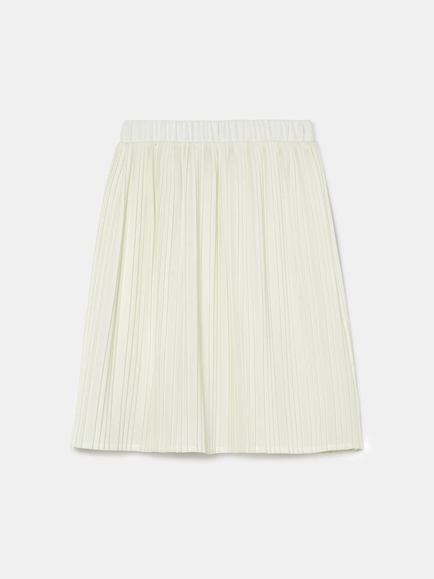 Pleated Long Skirt