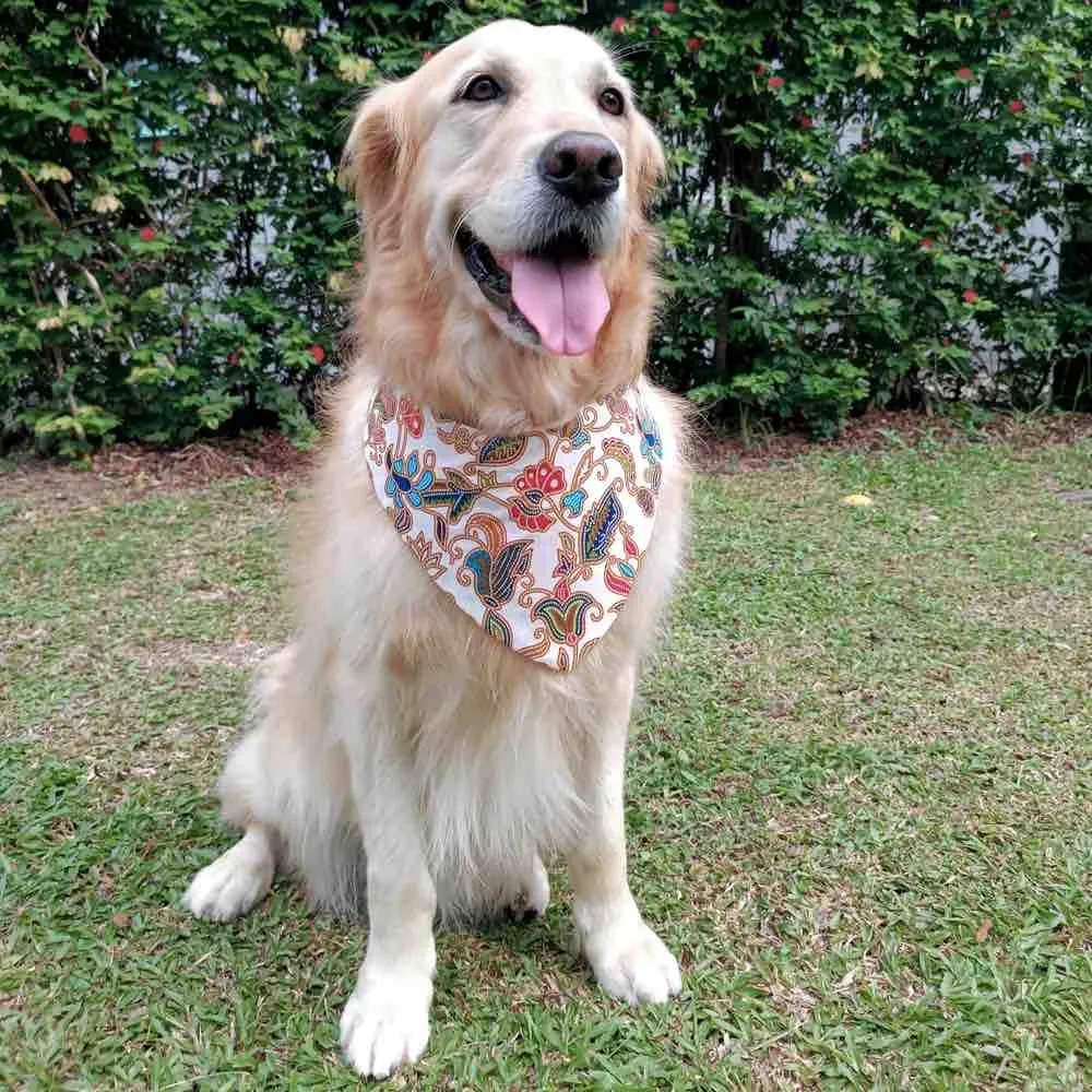 RuffCo Handcrafted Reversible Bandana For Cats & Dogs (White Batik)