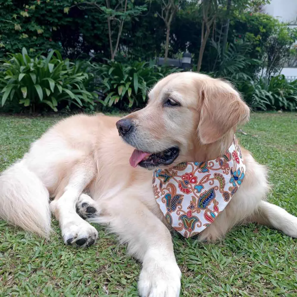 RuffCo Handcrafted Reversible Bandana For Cats & Dogs (White Batik)