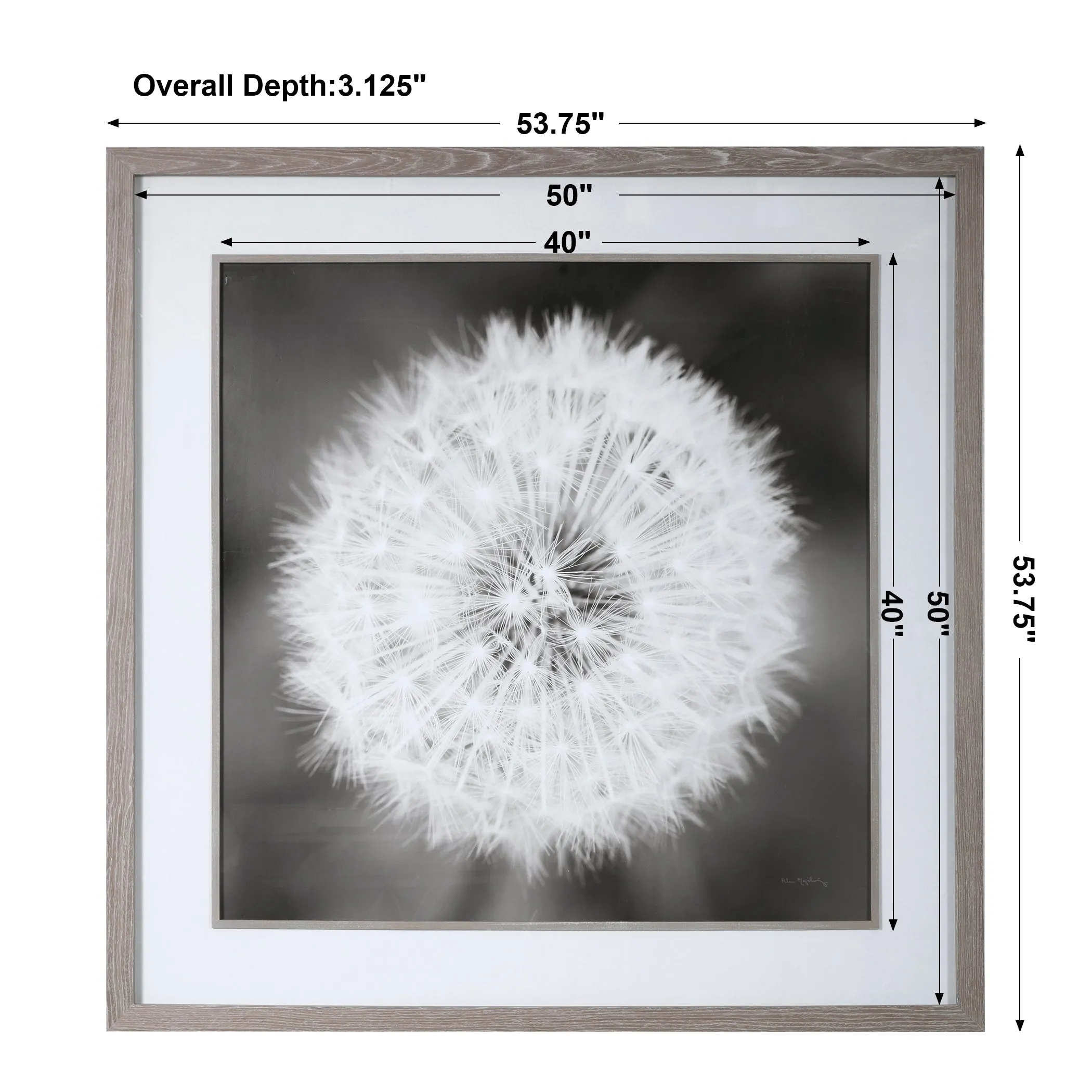 Uttermost Dandelion Seedhead Framed Print