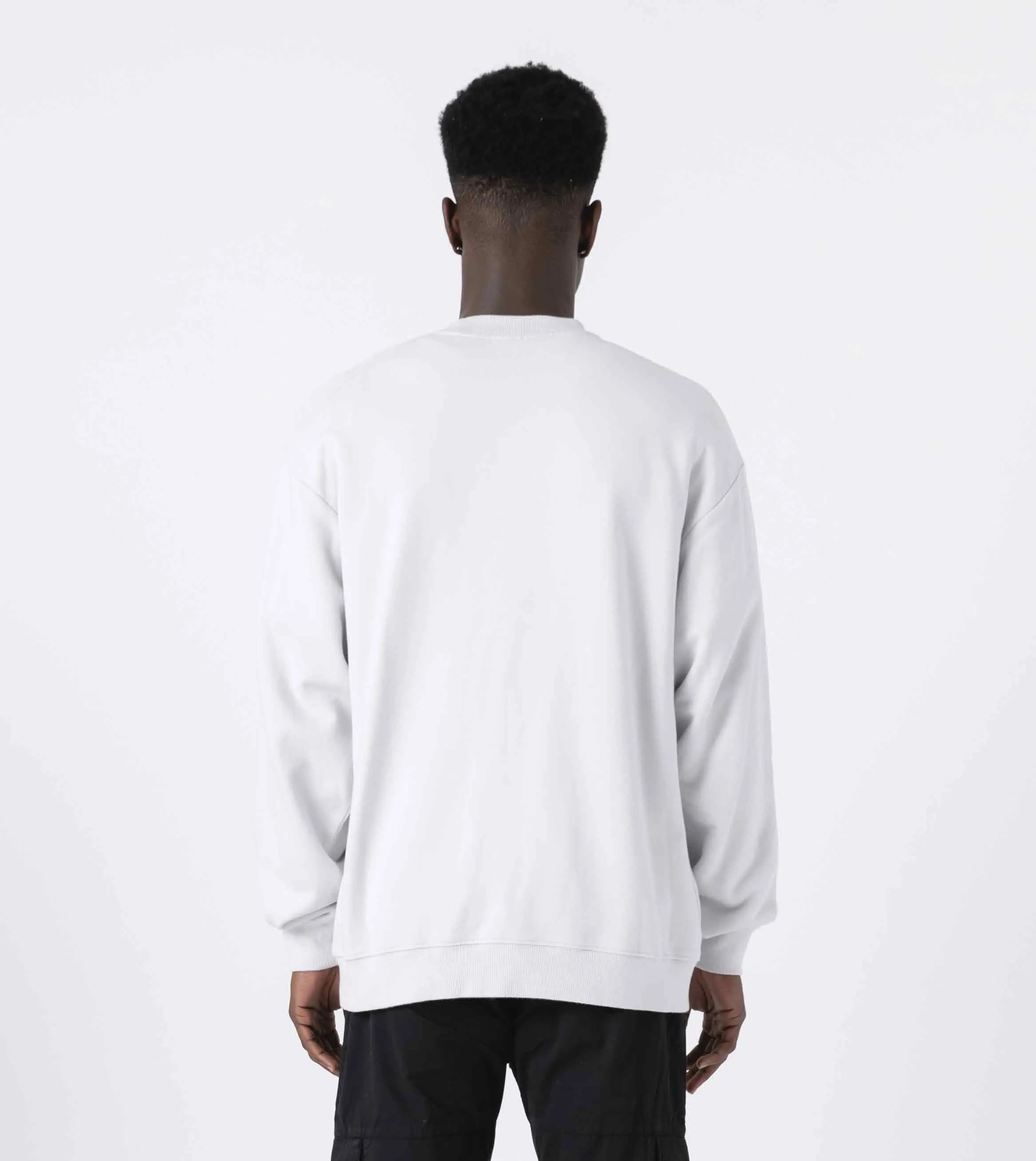 WST Orgo Crew Sweat Frost